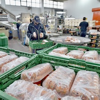 Commercio: Alleanza Cooperative, da nuovi ammortizzatori sociali costi insostenibili