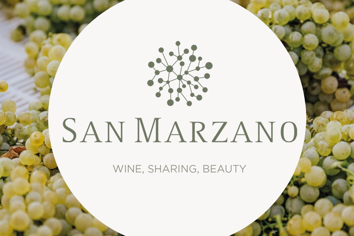 Vino, San Marzano è la "cantina cooperativa dell'anno"