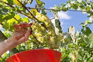 Biodistretto Trentino, "compreso impegno della cooperazione"