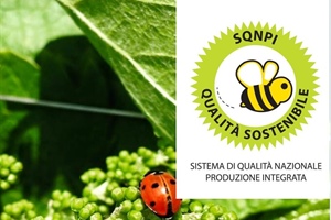 Fvg: l'uva cooperativa sarà biologica certificata