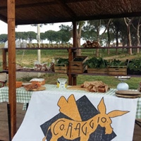 Roma: Coltiva il tuo futuro con Co.r.ag.gio