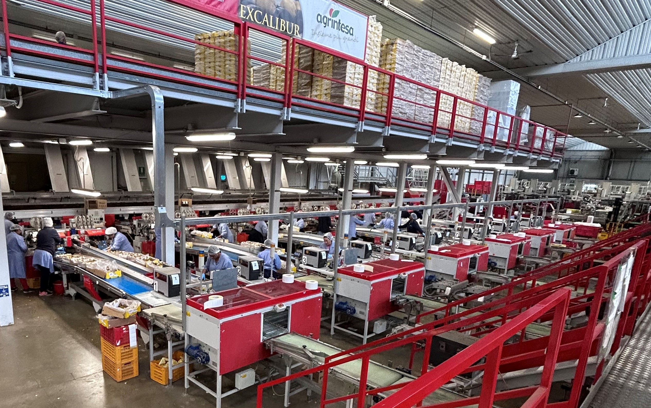 Faenza, bilancio positivo per Agrintesa