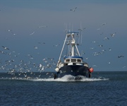 Pesca: l’Alleanza delle Cooperative dichiara lo stato di agitazione della categoria per il 12 giugno