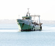 Libia: Alleanza Cooperative, pescatori italiani pronti a protesta. Urgente tavolo confronto con governo