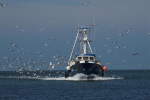 Libia: Alleanza Cooperative, tutelare chi pesca in acque internazionali rispettando la legge