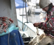 Pesca: Alleanza Cooperative, rinnovato CCNL non imbarcati per i dipendenti di cooperative. Previsto un aumento del 4,60%