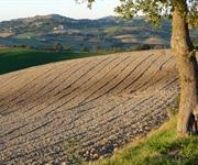 Agricoltura biologica, bene il piano di azione presentato oggi dalla UE