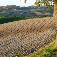 Agricoltura biologica, bene il piano di azione presentato oggi dalla UE