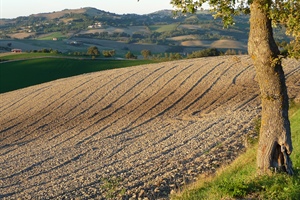 Agricoltura biologica, bene il piano di azione presentato oggi dalla UE