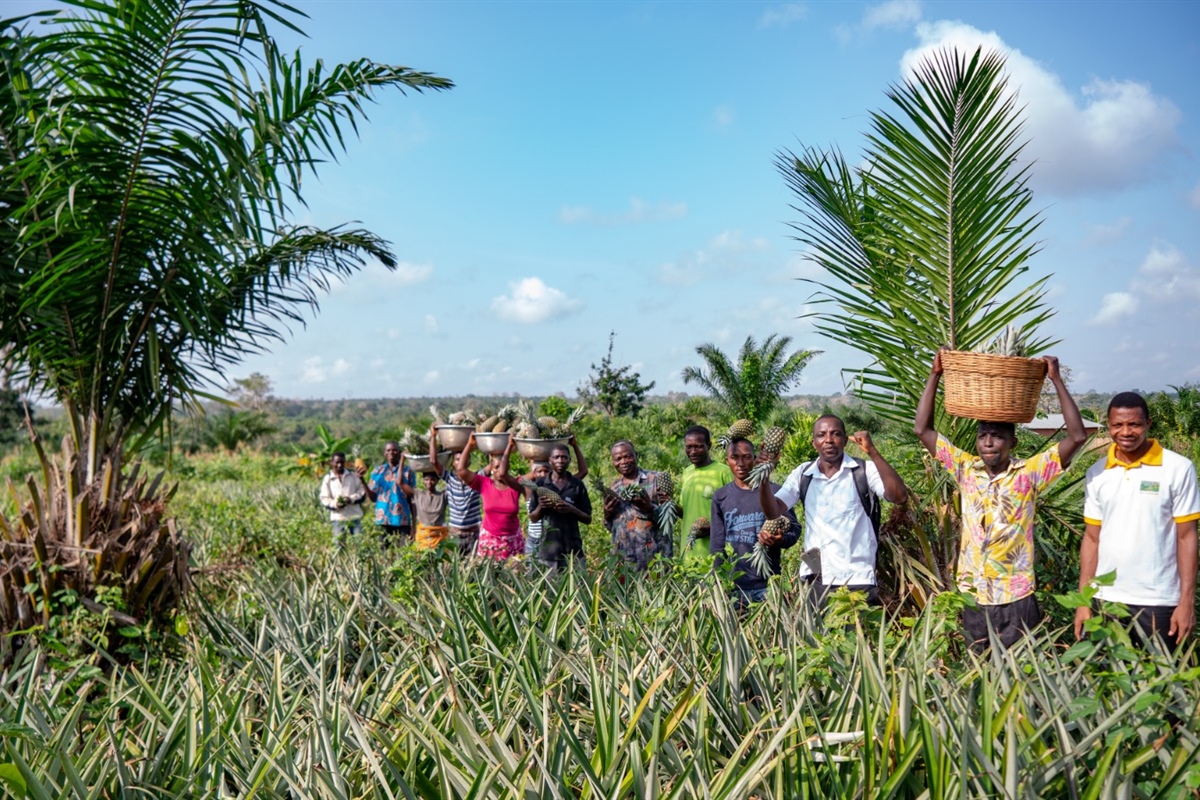 Cooperazione internazionale, bilancio positivo per il primo anno dell'Ananas Dolcetto