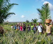 Cooperazione internazionale, bilancio positivo per il primo anno dell'Ananas Dolcetto