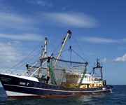 Pesca: con norme Ue taglia giorni in mare, -20% fatturato. A rischio 8 imprese su 10