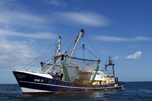 Pesca: con norme Ue taglia giorni in mare, -20% fatturato. A rischio 8 imprese su 10