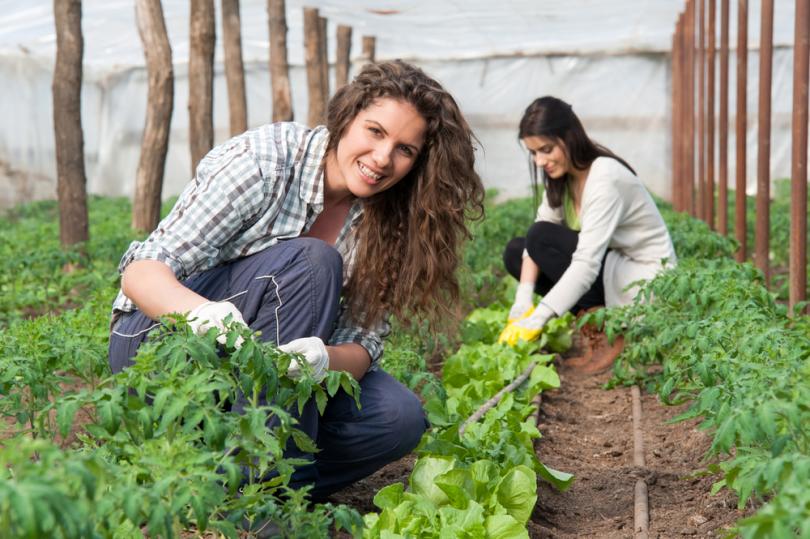 Agricoltura: Alleanza, bene legge promozione imprenditoria femminile